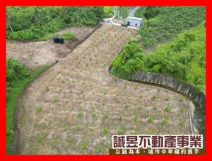 誠昱/楠西龜丹4.8.