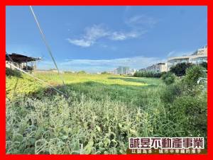 誠昱/永康自強路大坪數建.